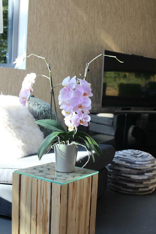 Table Et Chambre Particuliere モンス エクステリア 写真